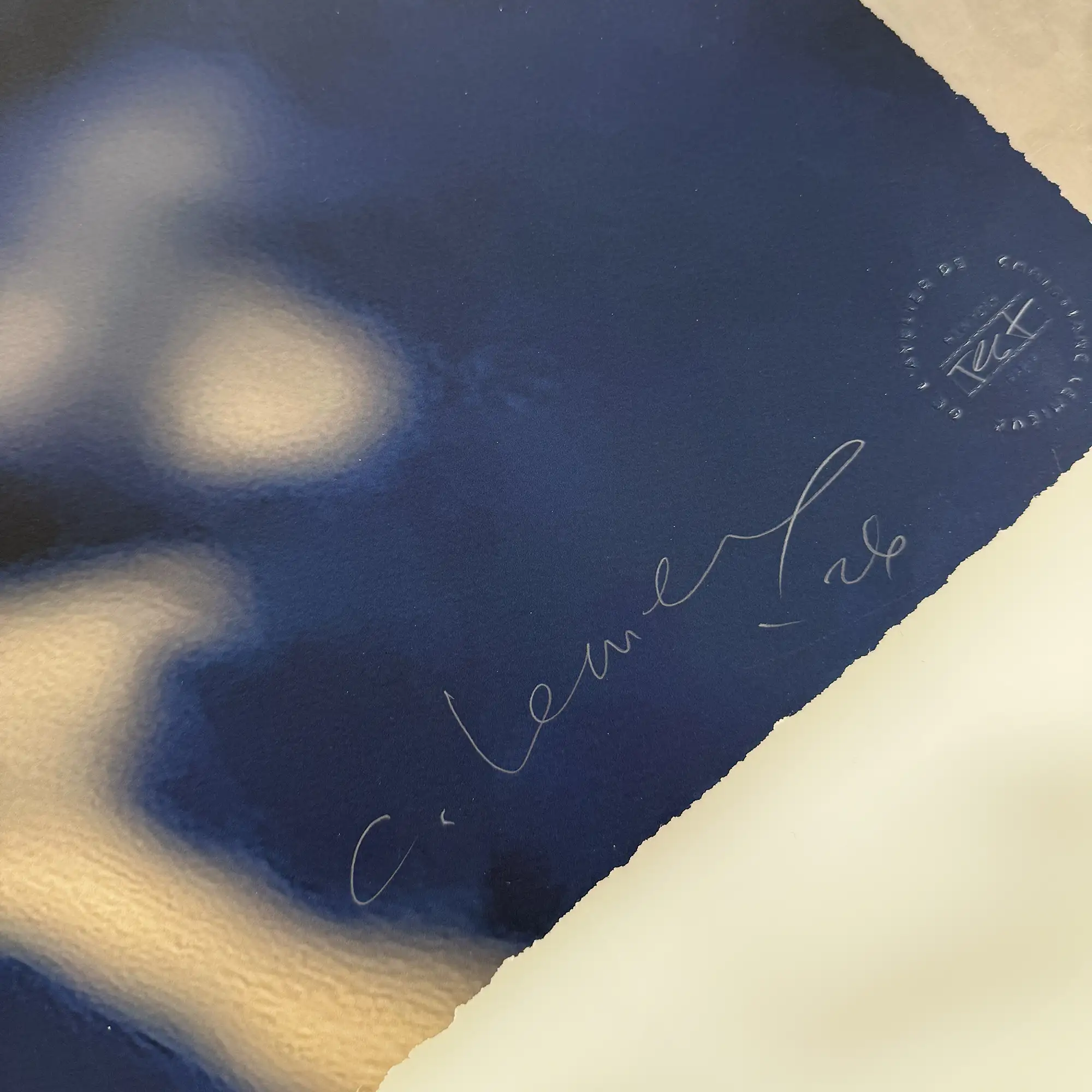 Herbier Deux Limited Edition Art Photography - Image 4