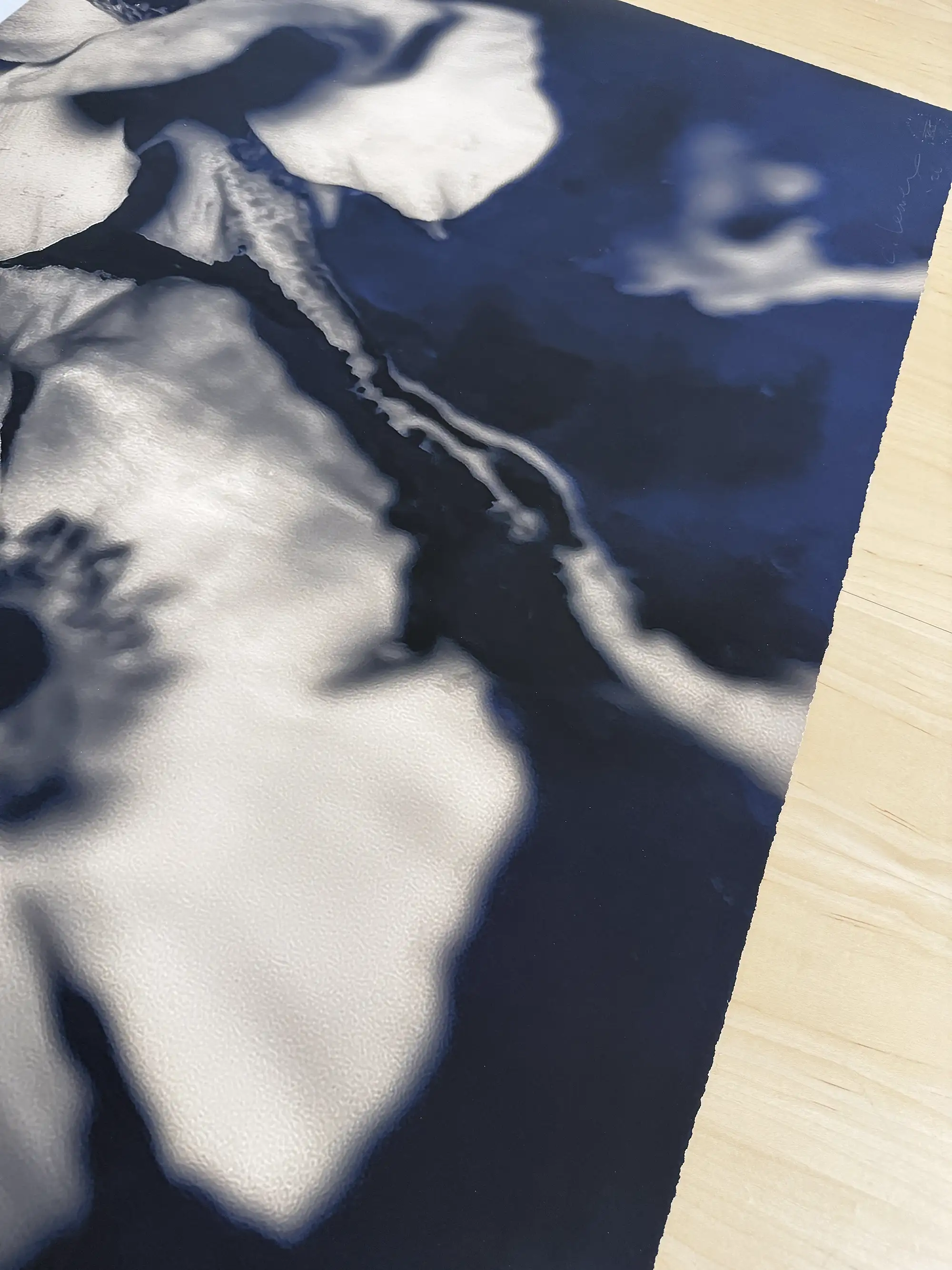 Herbier Deux Limited Edition Art Photography - Image 7