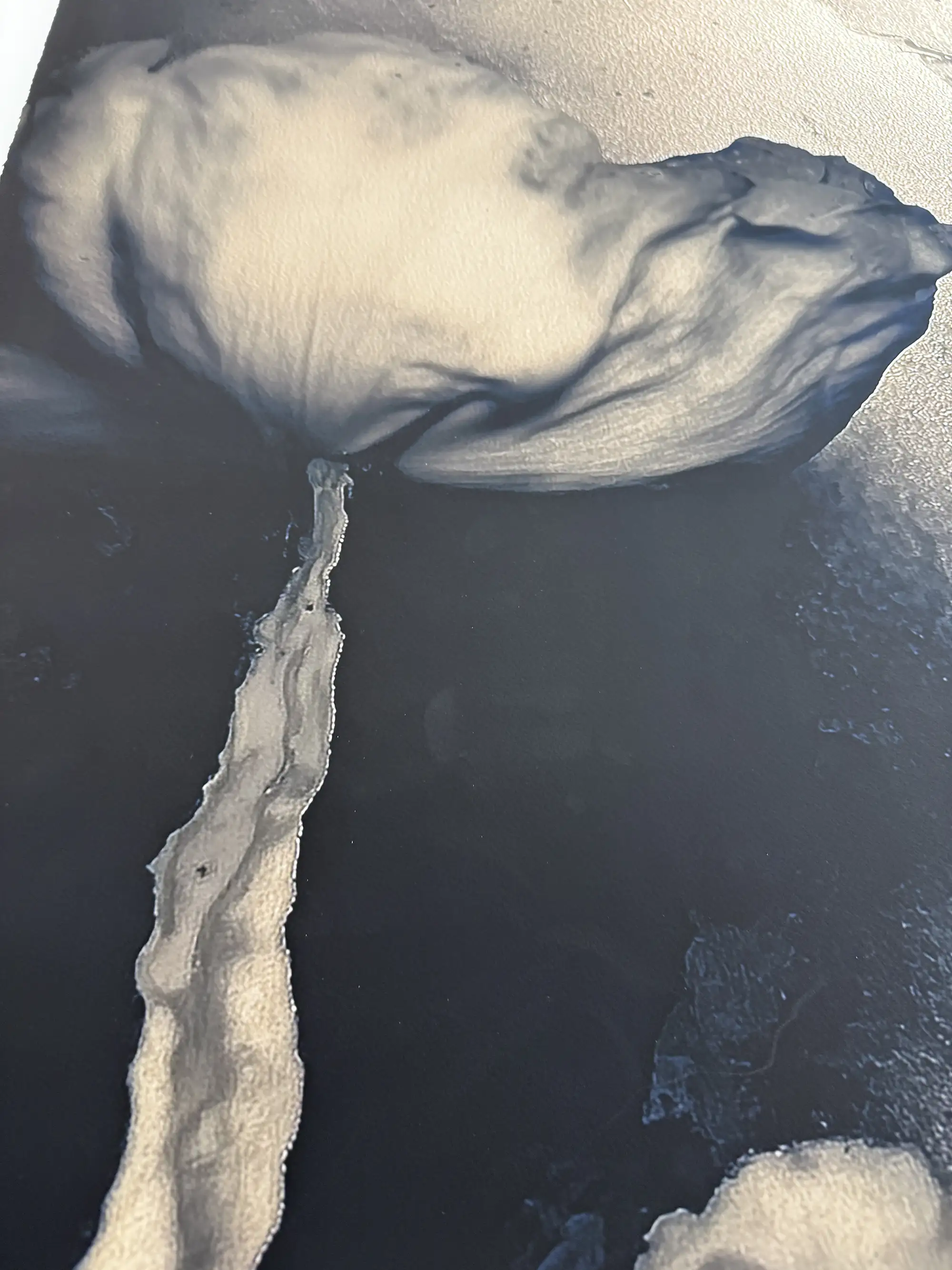 Herbier Deux Limited Edition Art Photography - Image 8